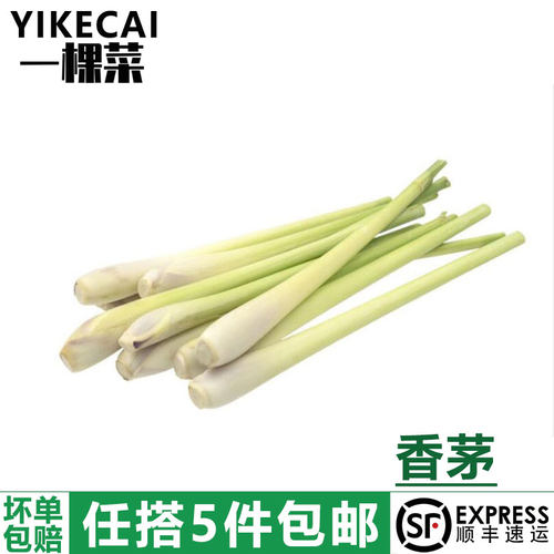 新鲜香茅草柠檬草西餐香料材料