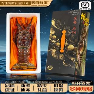 玛可鲜生 古巴龙虾礼盒2斤大龙虾澳洲龙虾非波士顿龙虾礼盒大礼包