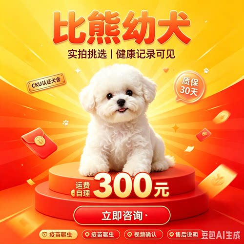 活体纯种比熊幼犬活体家养小型犬比熊韩系飞耳茶杯犬宠物狗狗幼崽