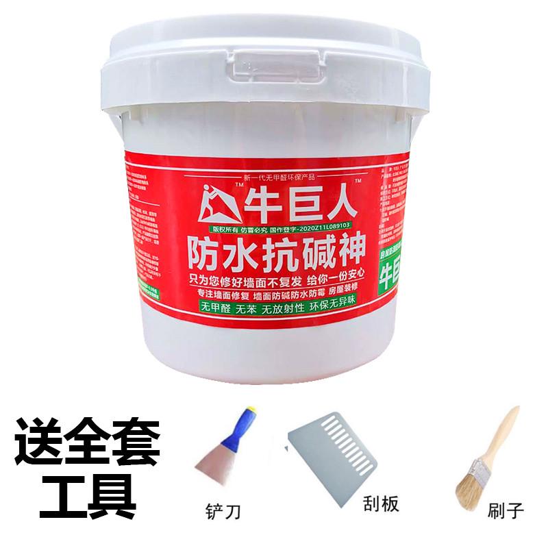 q683内墙防水防碱防霉潮湿起泡墙贴墙壁发霉墙面脱落生毛返碱