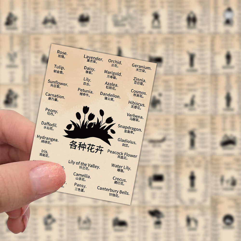 50张趣味英语学习贴纸日常生活场景用口语背单词积累创意贴画儿童启蒙早教词汇小学初中英文句子装饰墙便利贴