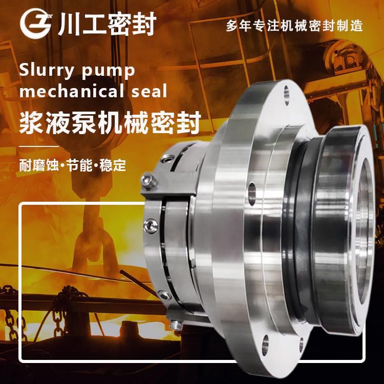 离心泵钢耐腐蚀 YTBB174-65HTM-60S351ZZ 机械密封厂家联系方式