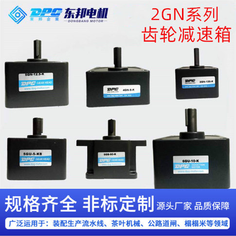 DPG东邦2GN-60齿轮减速机6W