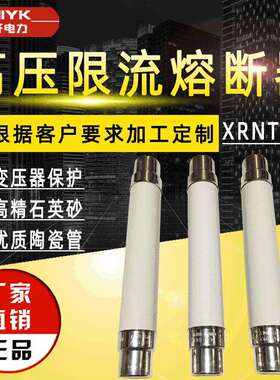 XRNT1-12/40A高压限流熔断器10kV变压器保护专用高分段限流熔断器