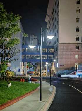 厂家3米4米公园小区景观灯庭院灯仿古灯灯笼灯草坪灯灯具灯杆