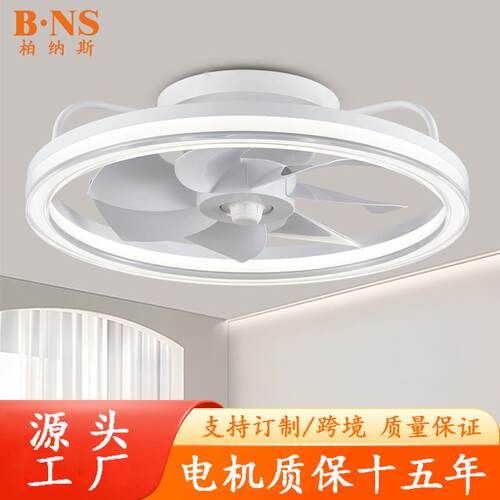 外贸跨境亚马逊吸顶风扇灯智能遥控LED110V美式简约卧室风扇灯