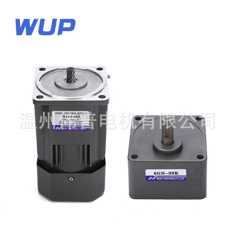 伟普微型调速减速电机交流220v减速低速电机m140-402 6IK140RGN-C
