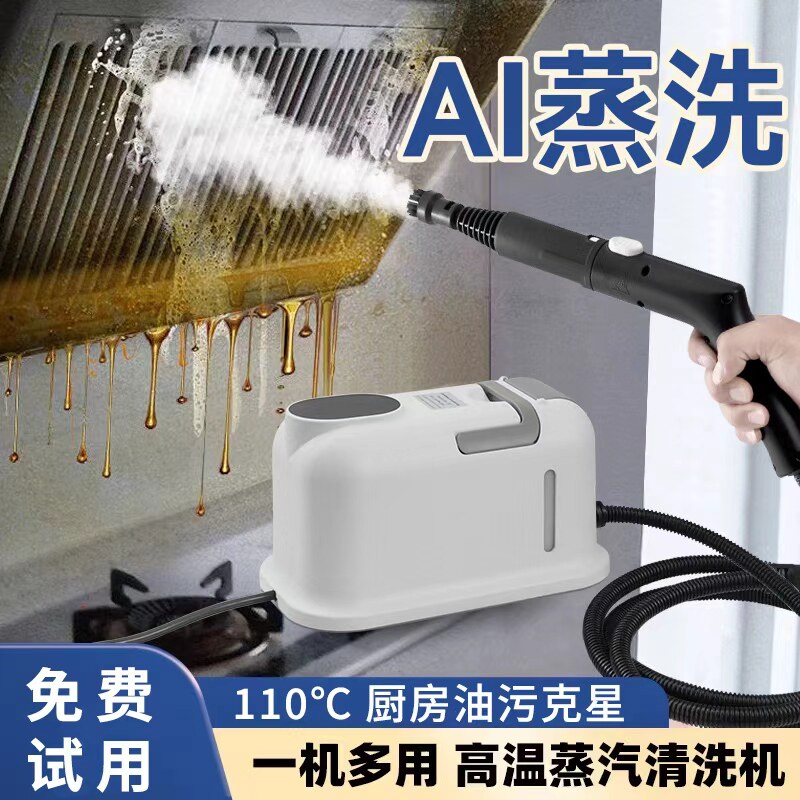 德国进口高温高压蒸汽清洁机