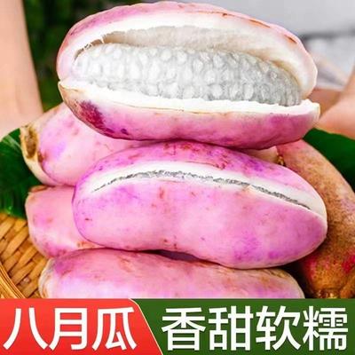八月瓜新鲜水果当季野果八月炸孕妇罕见网红水果牛卵坨三叶木通果
