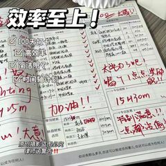 考研效率本日计划本自律打卡本日程本笔记每日随身打卡大todo本子