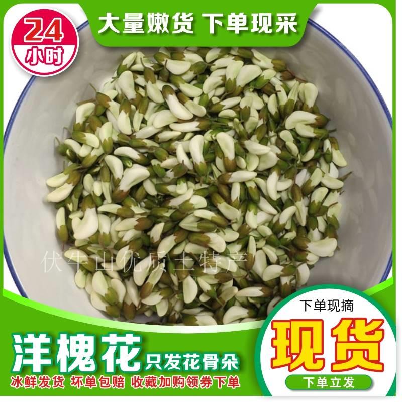 新鲜野生冰冻槐树花榆钱当季洋槐花野菜榆钱串杨槐花骨朵3斤