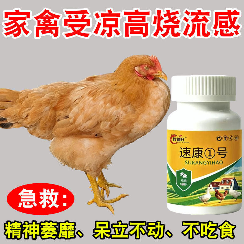 鸡生病鸡鸭鹅病全治养鸡专用药