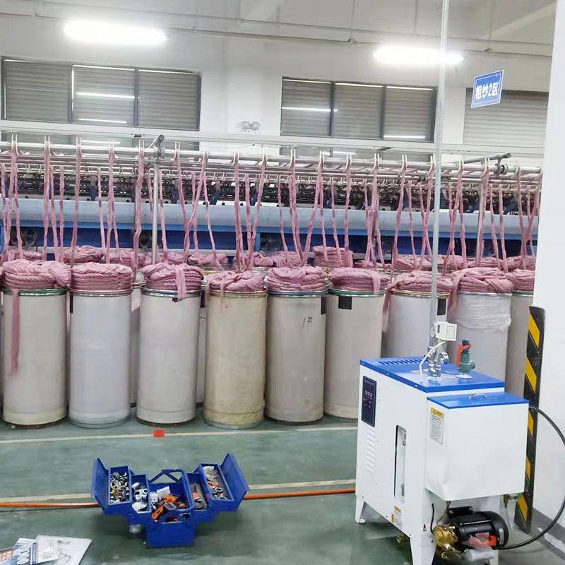 9kw12kw小型电加热蒸汽发生器纺织厂服装厂熨烫电蒸汽发生器加湿