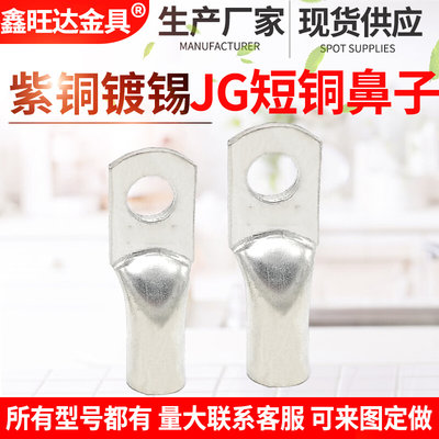 JG16-6/8/10 紫铜铜鼻子 船用线耳接线端子 电缆终端接头