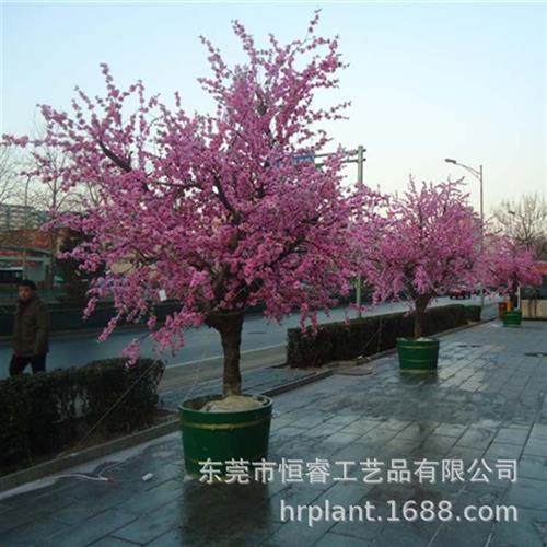 设计定做婚庆影视道具假桃花樱树装饰背景绢花PE塑料花,商务/设计服务,设计素材/源文件,淘宝优惠券,粉丝福利购,淘宝优惠卷