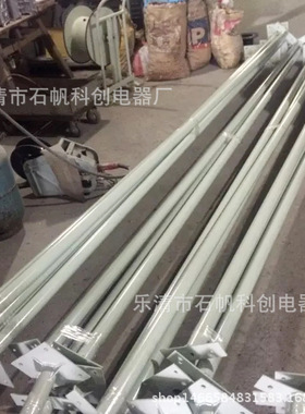 BAM52防爆马路灯 防爆道路灯 防爆灯杆6米 8米 12米 单臂 双臂BGD