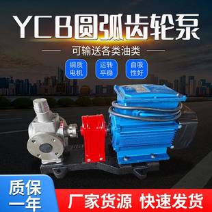工厂定制304不锈钢齿轮泵YCB圆弧齿轮泵压力泵电动增压燃油泵