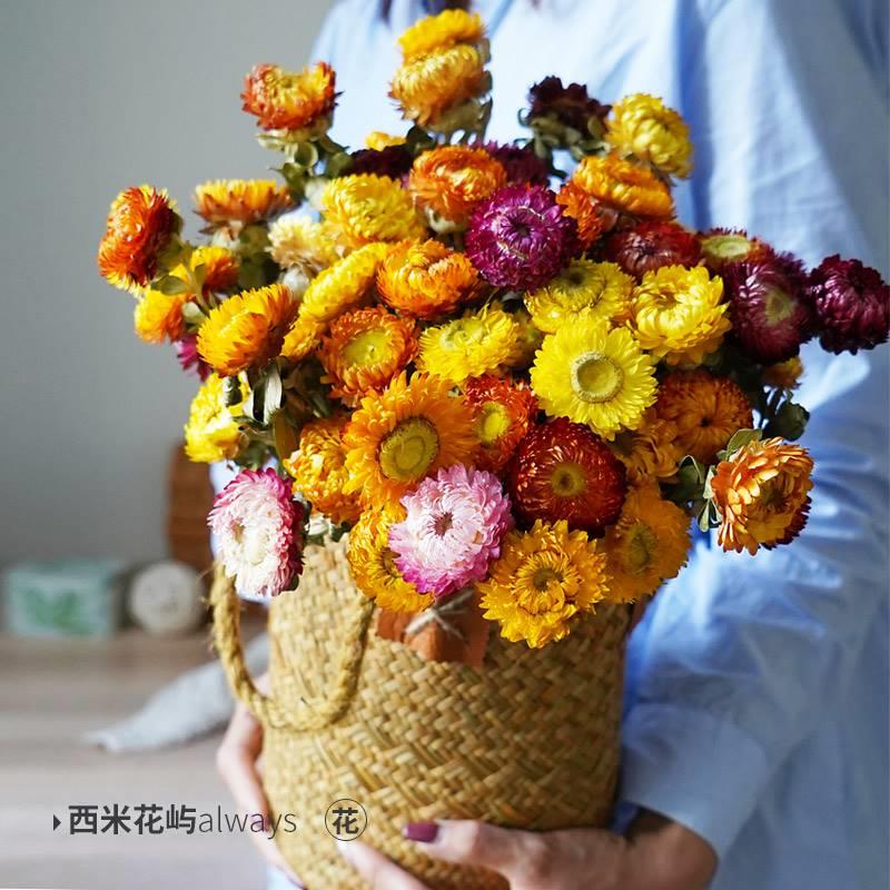 云南天然小雏菊干花花束客厅摆设风干真花向日葵家居餐桌装饰摆件