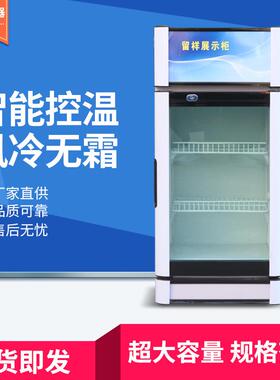 留样柜保鲜展示柜 学校酒店食品留样柜 超市商店冰箱展示冷藏柜