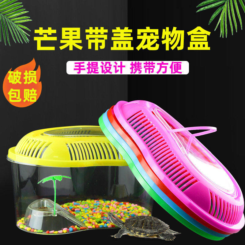 乌龟缸带晒台带小树透明塑料儿童便携手提宠物盒运输盒大号芒果盒,宠物/宠物食品及用品,其它水族用具设备,淘宝优惠券,粉丝福利购,淘宝优惠卷