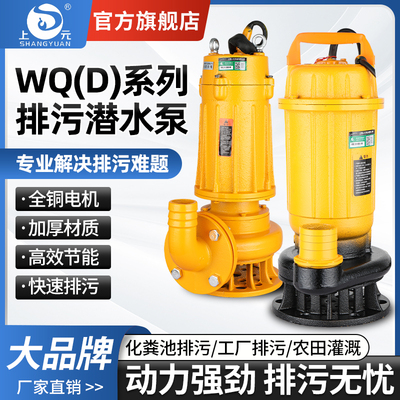 上海上元污水泵小型排污泵农用抽水机家用泥沙泥浆池塘清淤潜水泵