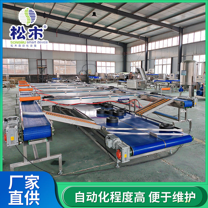 哈密瓜分级包装流水线设备 无损伤选果机 厂家直供价格优惠