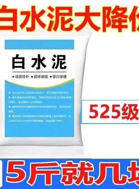 国标525白水泥家用防水防霉瓷砖填缝堵洞补墙地漏速干白色水泥胶