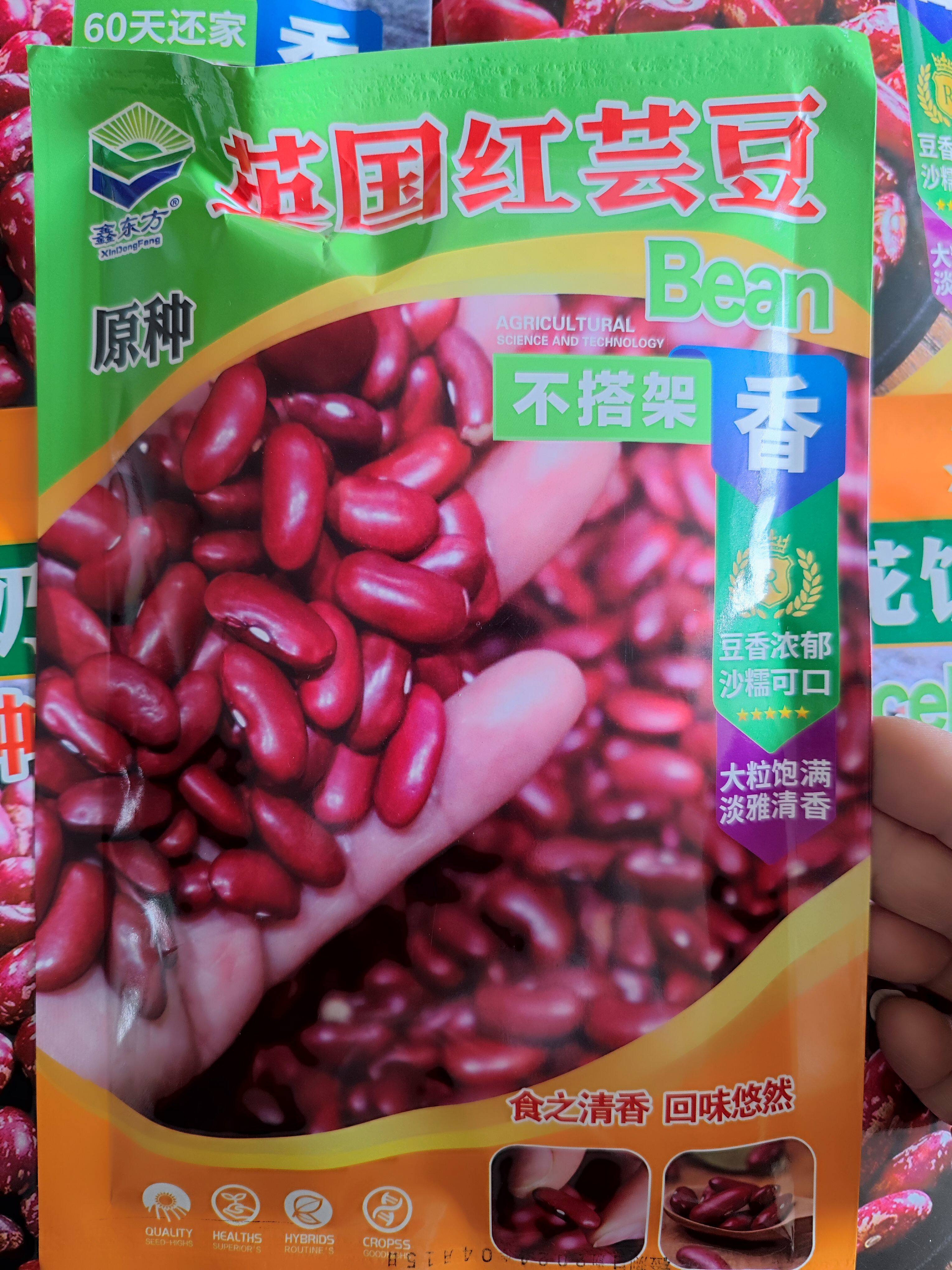 【英国红芸豆种子】饭豆原种60天还家腰豆大芸豆豆沙种子