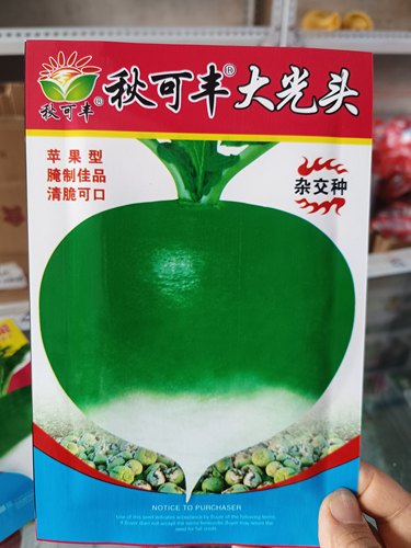 光头芥菜种子东北芥菜疙瘩菜种子腌制泡菜嘎达籽