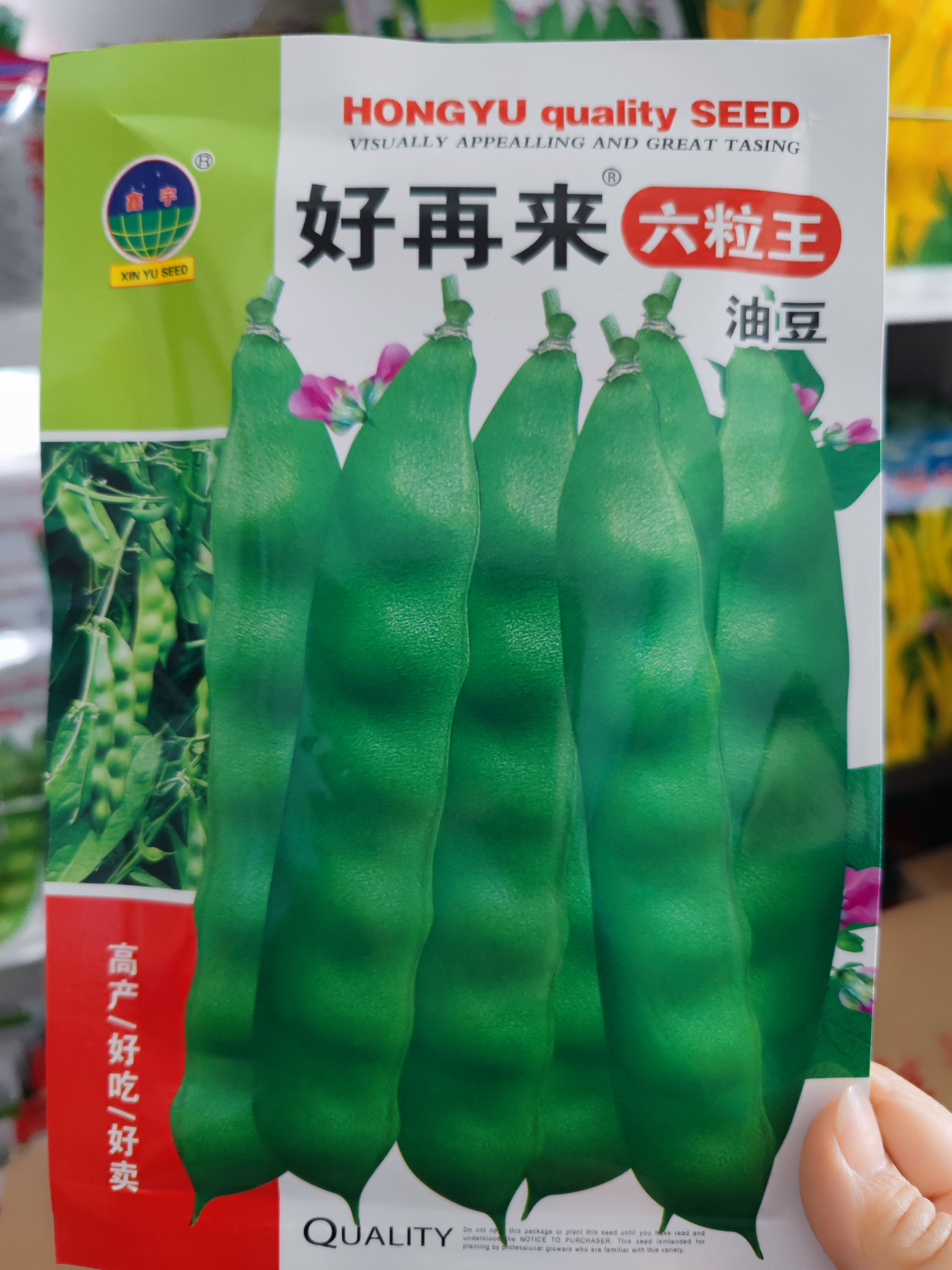 【好再来六粒王】东北油豆角种籽特早熟无筋油豆种子超早50天