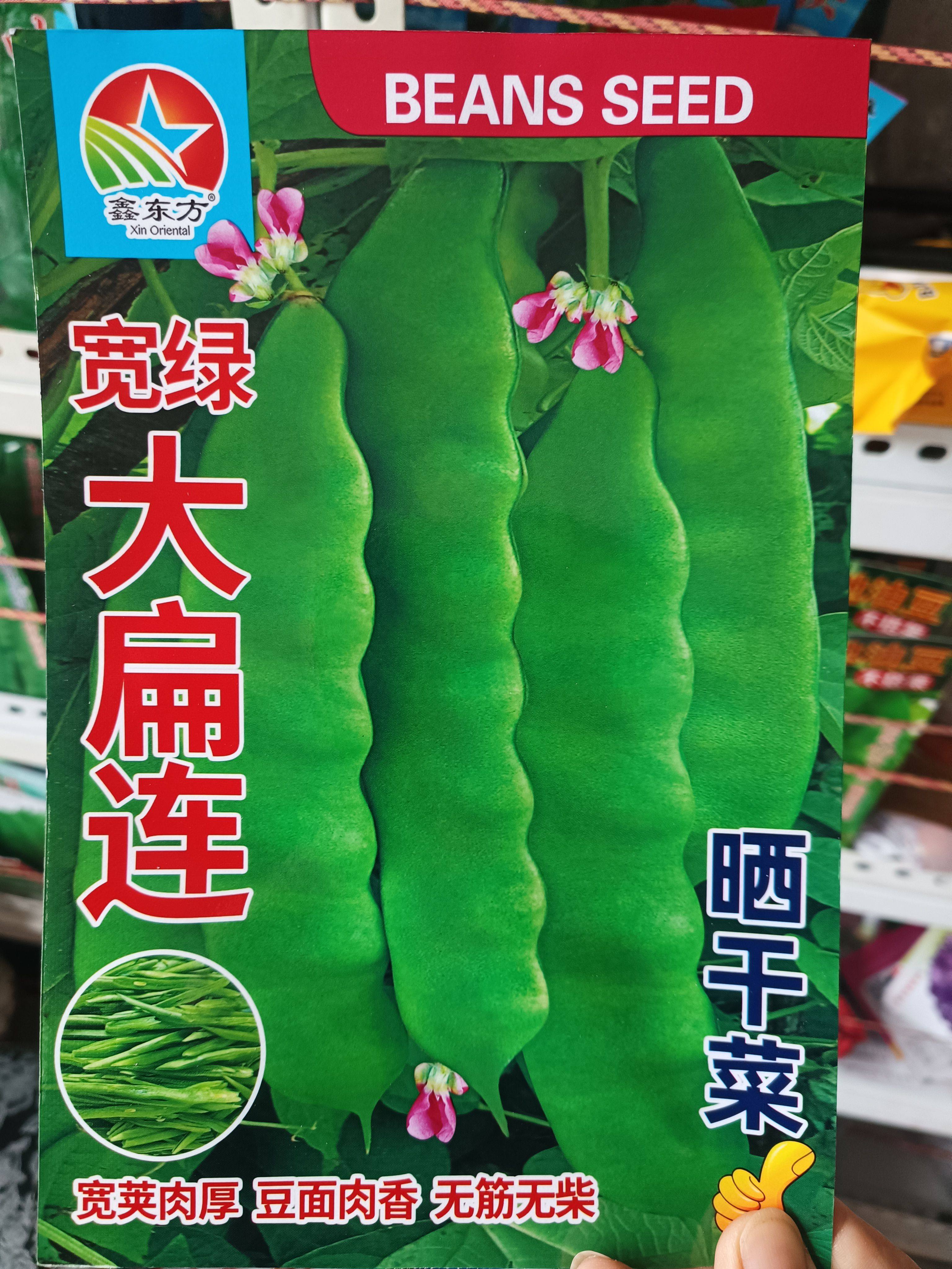 宽绿大扁连油豆角种子晒豆角丝豆角籽搭架扁莲子架油豆纯绿色图片