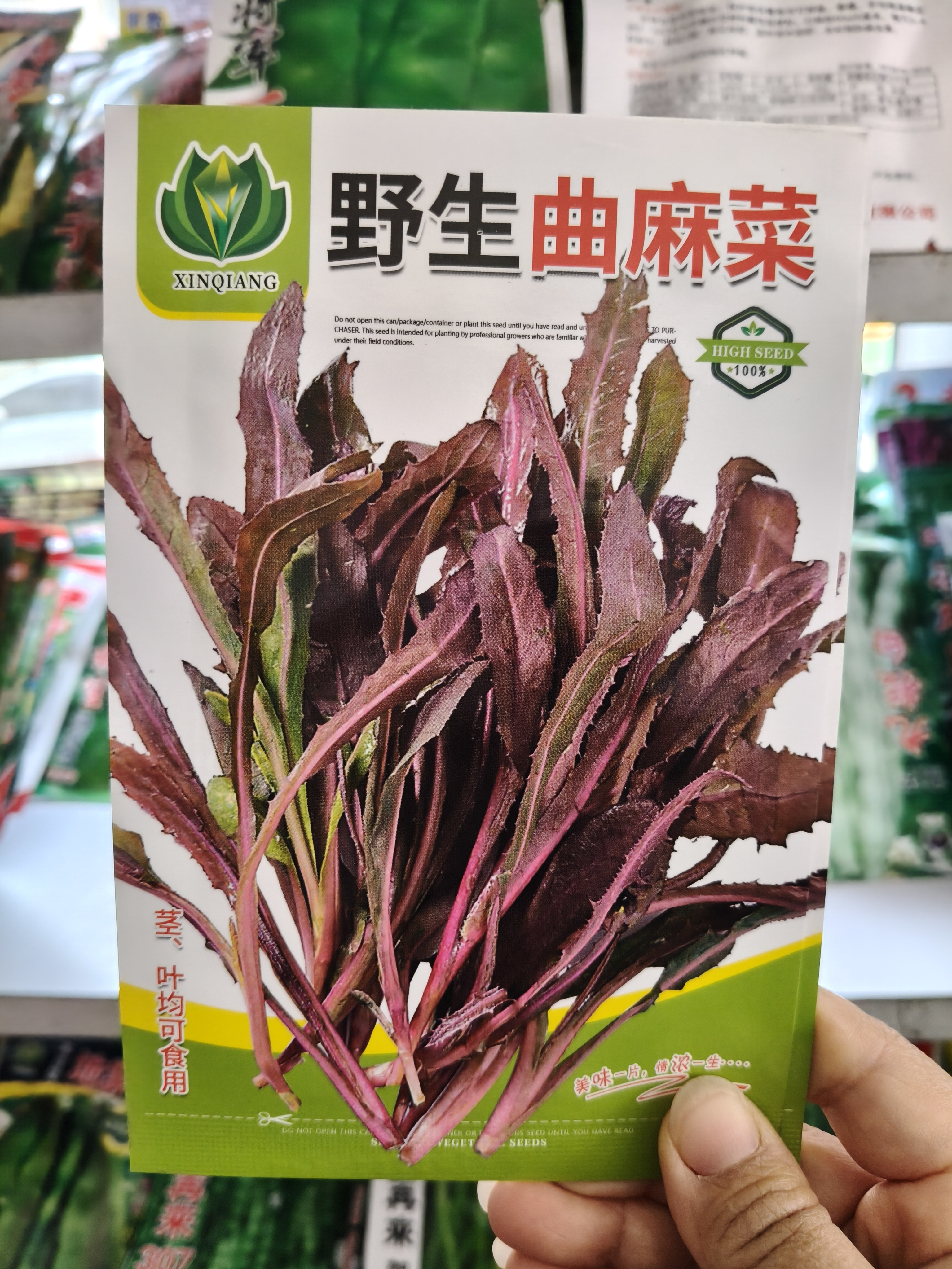 【野生曲麻菜种子】苦麻菜种子苦菜种子四季盆栽野菜青菜籽