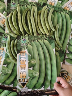 豆香面棒豆角种子正品春秋季播农家无筋无才开锅烂