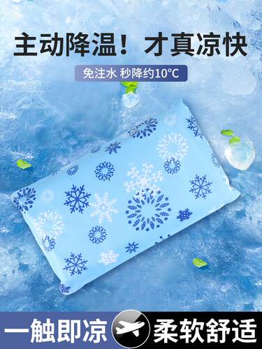 冰枕头免注水夏天大号冰凉大人学生午睡水袋枕头夏季水垫坐垫防水
