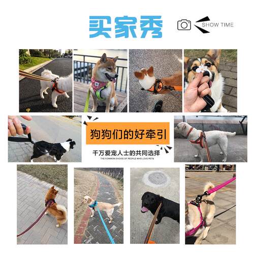 truelove狗牵引绳中大型犬遛狗绳尼龙抗拉防勒手网减震绳TLL2111