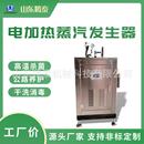 6kw电加热蒸汽发生器餐饮食堂豆腐豆浆蒸箱取暖用蒸汽锅炉