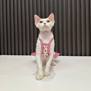 可爱草莓格子吊带任发财无毛猫衣服德文衣服斯芬克斯猫可爱