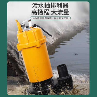 浙江丰污水污物化粪池泵源泵业丰源水泵污水泵小型家用220v高扬