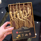 人参长白山野山参林下参籽参生晒干参20年礼盒煲汤泡酒老山参人叁