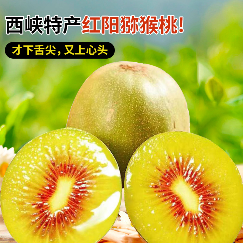 河南西峡县白庙村红阳猕猴桃鲜果红心奇异果当季水果现发礼盒装