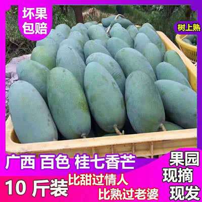 广西百色桂七芒果10斤新鲜当季正宗青皮甜心芒热带大芒果整箱包邮