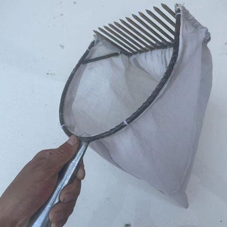 专用撸打快速摘器工具酸枣神器酸枣便快捷摘方柏采摘枣籽摘果子枣