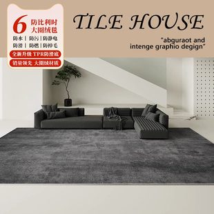 地垫轻奢 耐脏可擦灰色客厅地毯高级防水免洗2024家用茶几毯垫新款