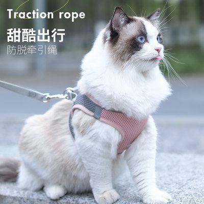 猫咪牵引绳防挣脱溜猫绳子背心式胸背带春夏外出专用栓猫链子用品