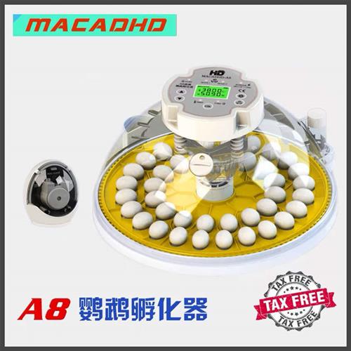 MACAUHD 高精度 A8 全自动小型鹦鹉丝雀恒温孵蛋孵化器