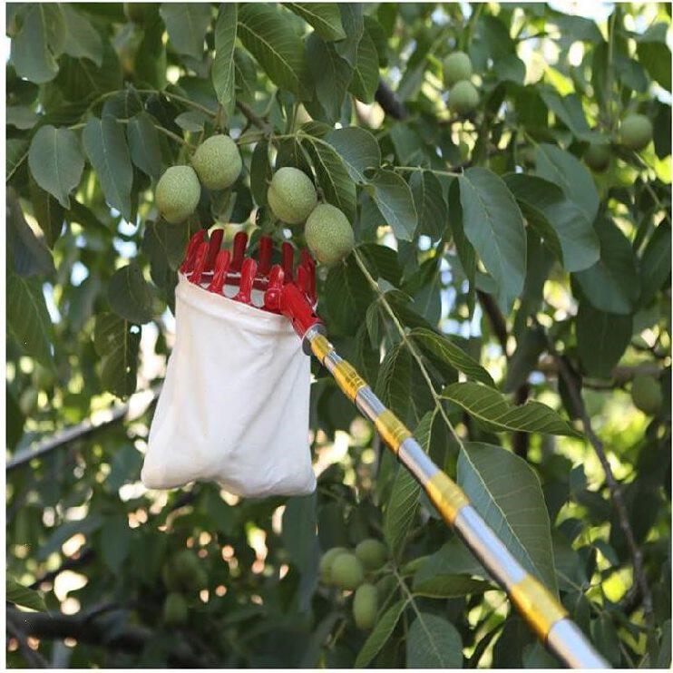 采摘神器摘果器杨桃工具木瓜摘水果摘果机高空杏子果实胡柚高枝.