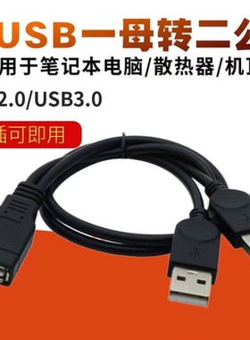 usb延长线一拖二5v/2A充电车载一分二分线器一母二公扩展器集线器