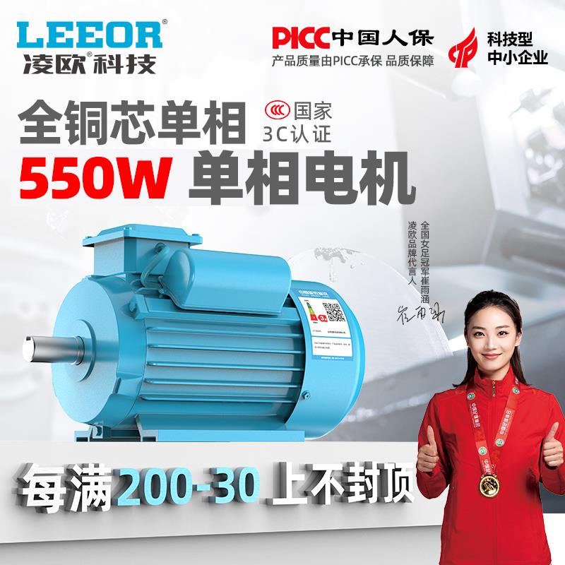 550W单相电机220V两相0.55KW千瓦家用电全铜异步电动机马达小型