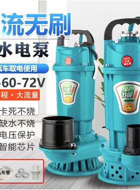 【HOT热卖中】直流潜水泵电动三轮车车用农用抽水泵24V48V60V72V