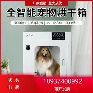 宠物智能烘干箱中大型水机洗澡烘干机猫咪自动吹狗狗商用干低噪速